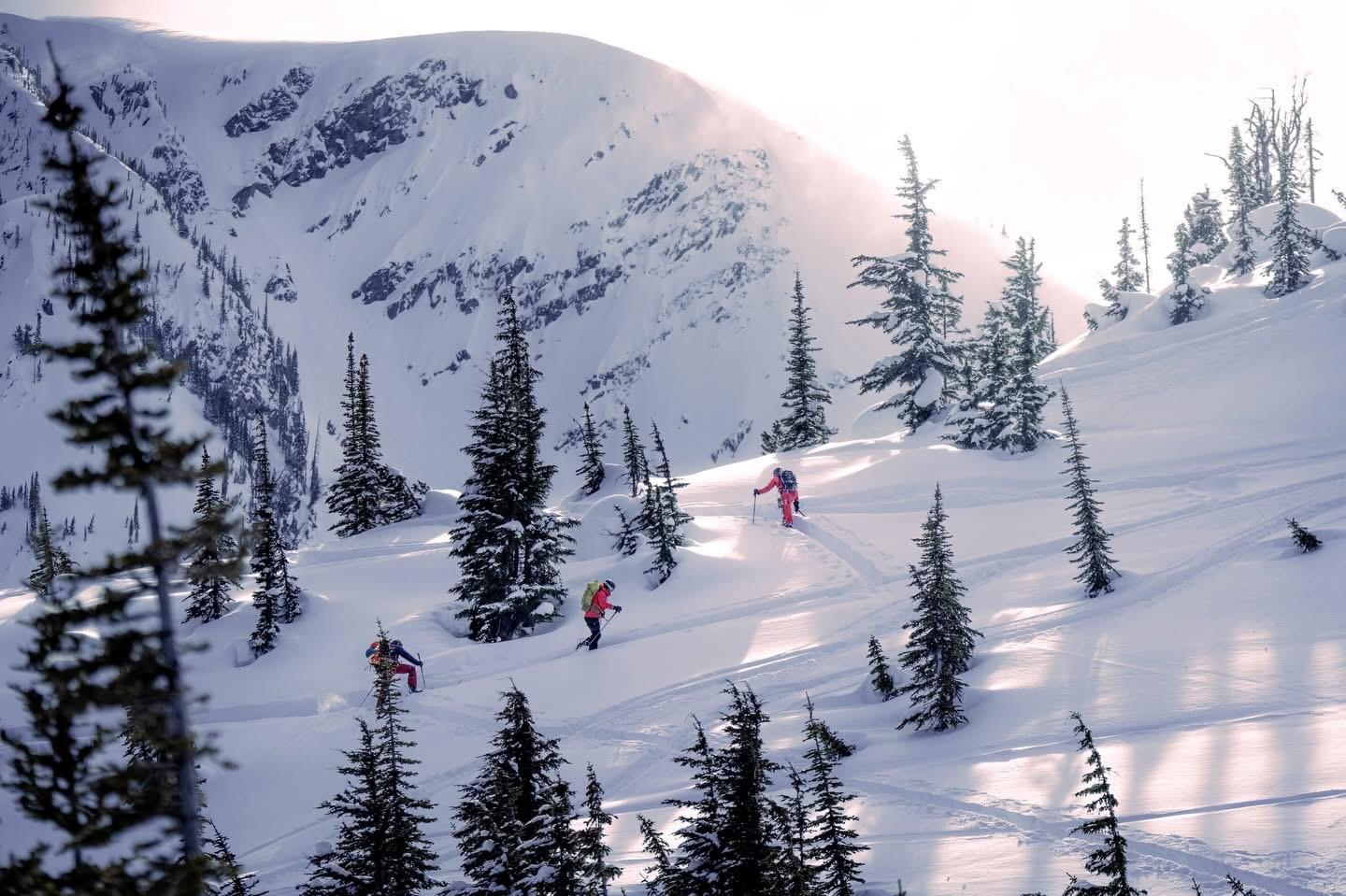 Backcountry skiers on deep snow near Golden